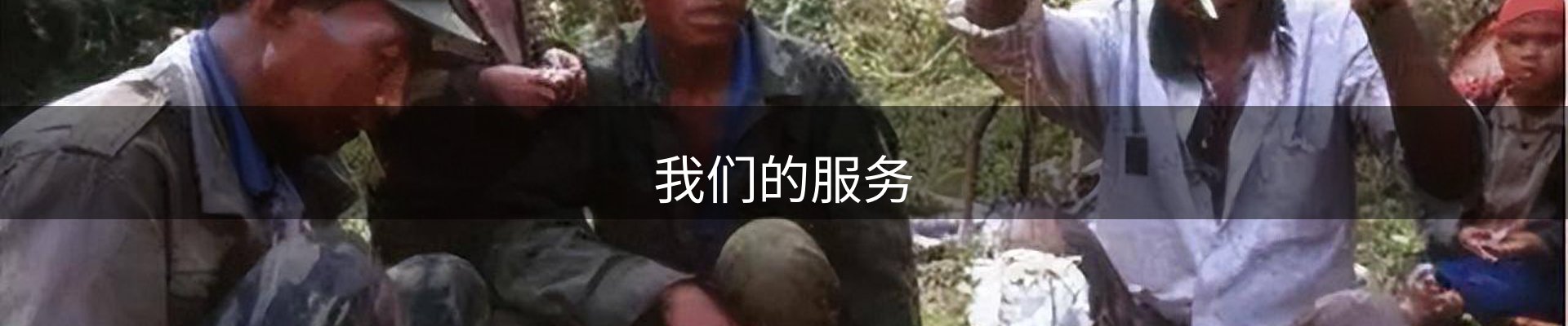我们的服务